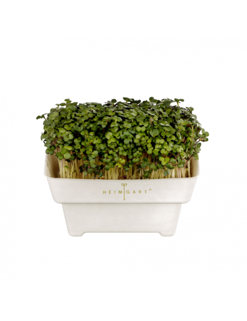 The adventure begins Framed poster